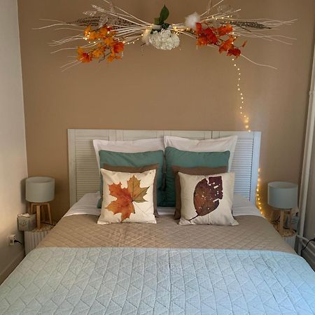 Le Belpierre Apartment Colmar Luaran gambar