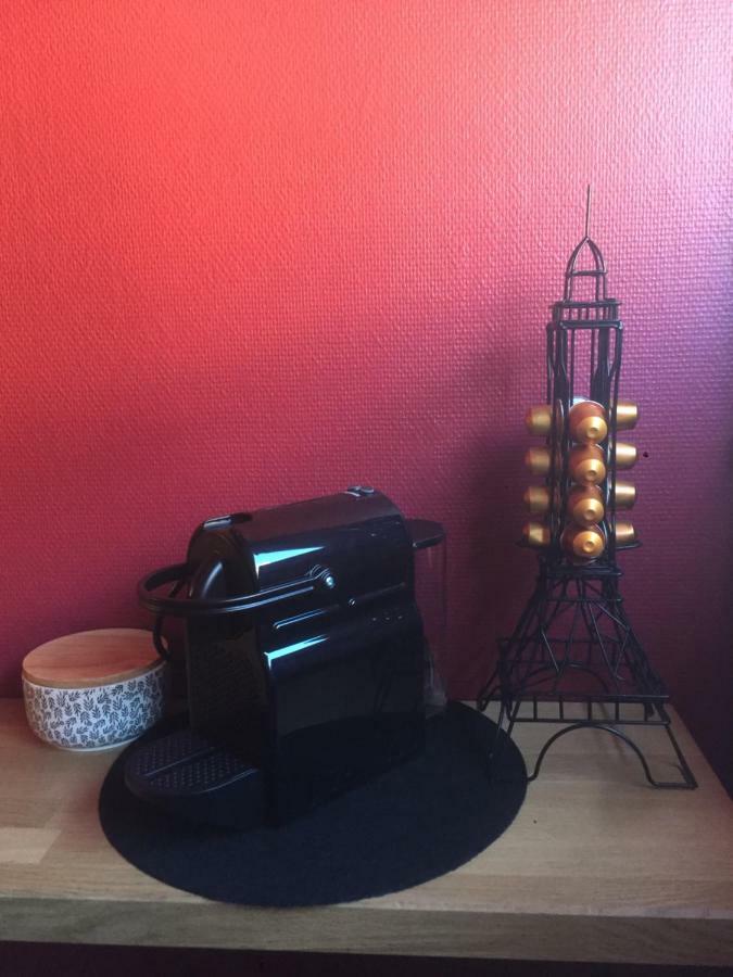 Le Belpierre Apartment Colmar Luaran gambar